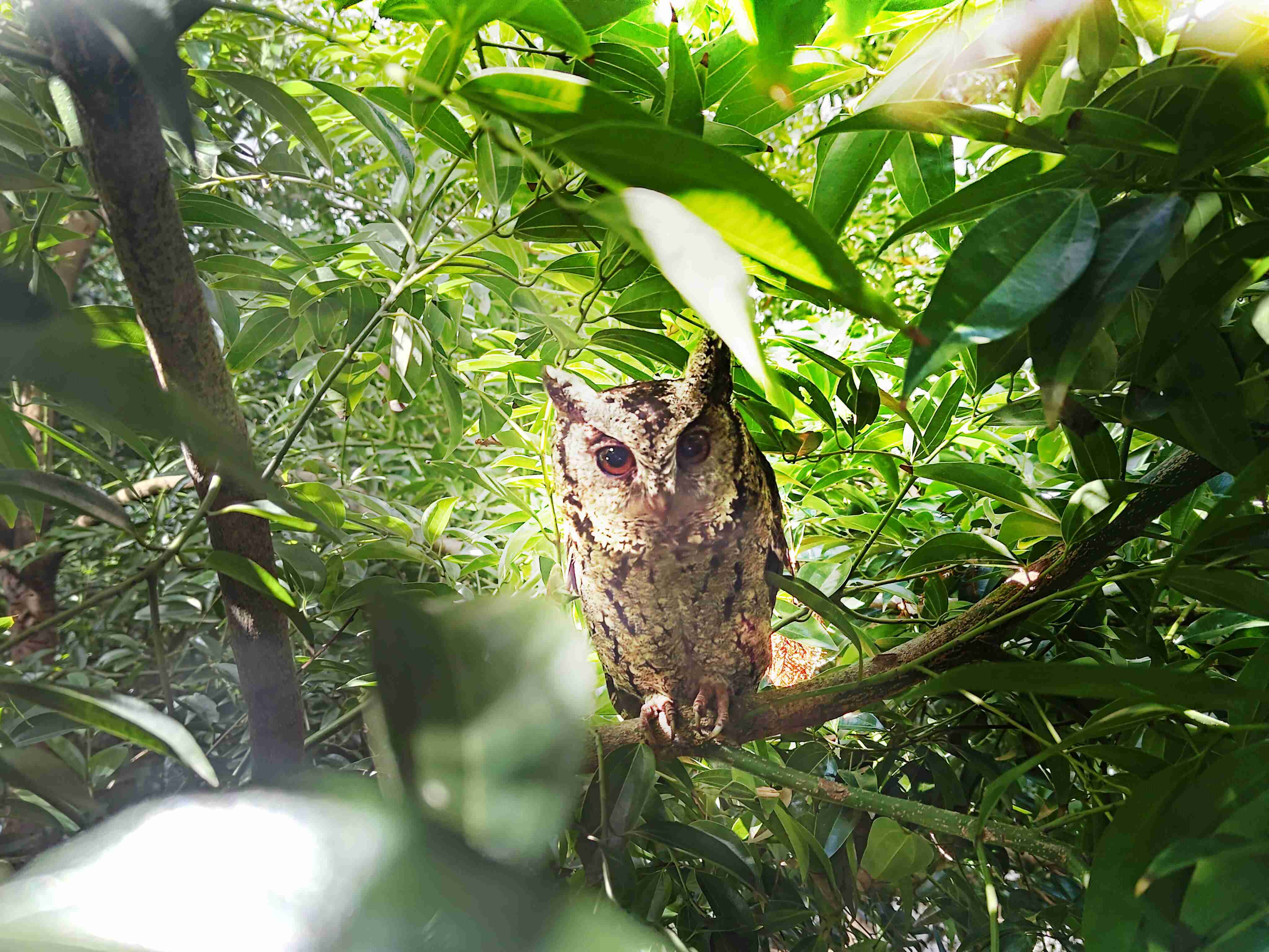 尊时凯龙致力提倡净零绿生活，，，，16年以来在全球各厂区植树逾百万棵，，造就各厂区树木蔚然成林，，，犹如森林工厂，，成为许多生物的栖息地