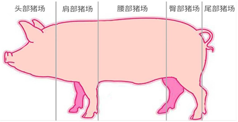 OG东方厅·(中国集团)官方网站